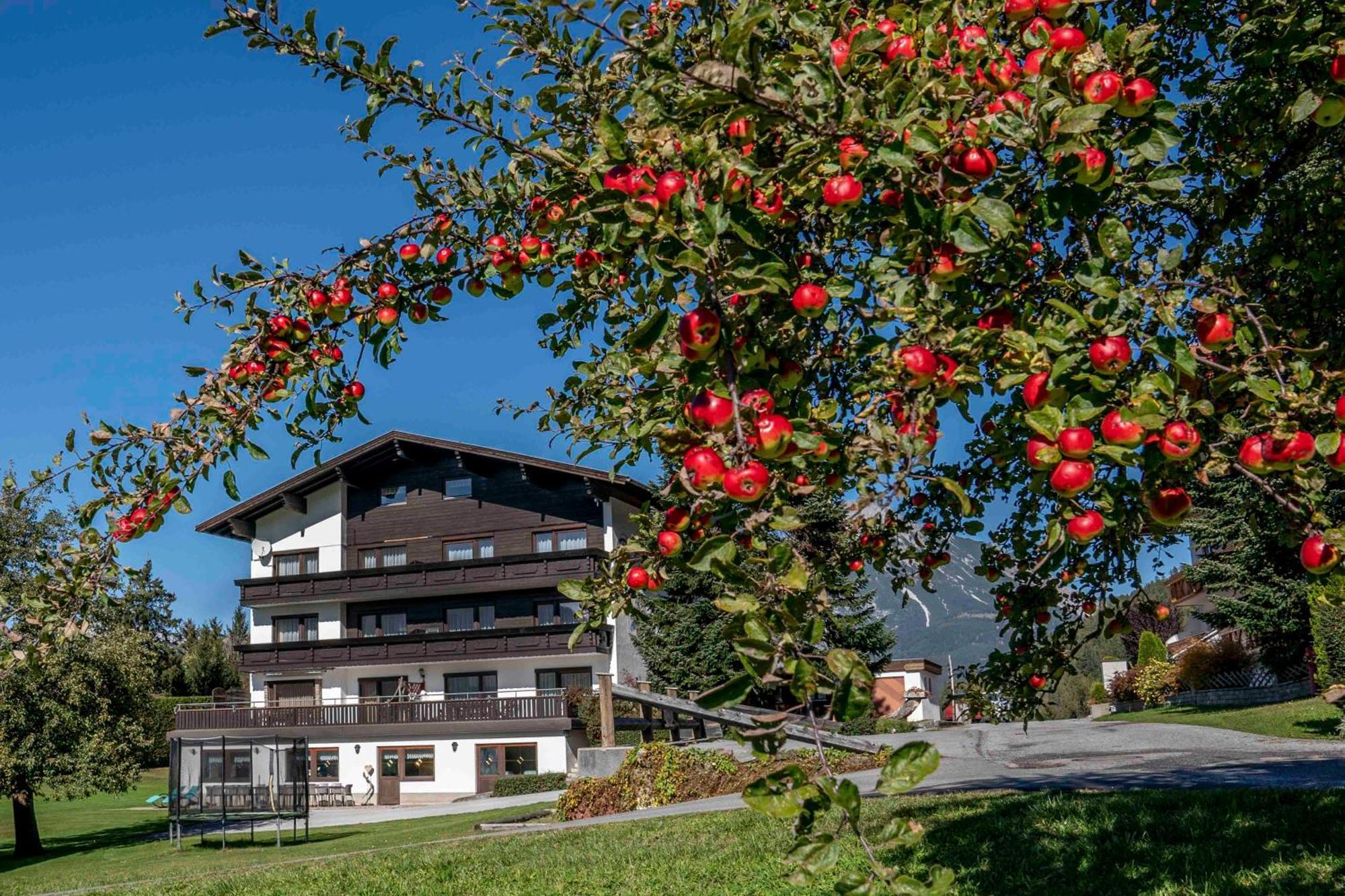 Ferienwohnungen Monja Und Dietmar Thoeni Arzl im Pitztal Exterior photo