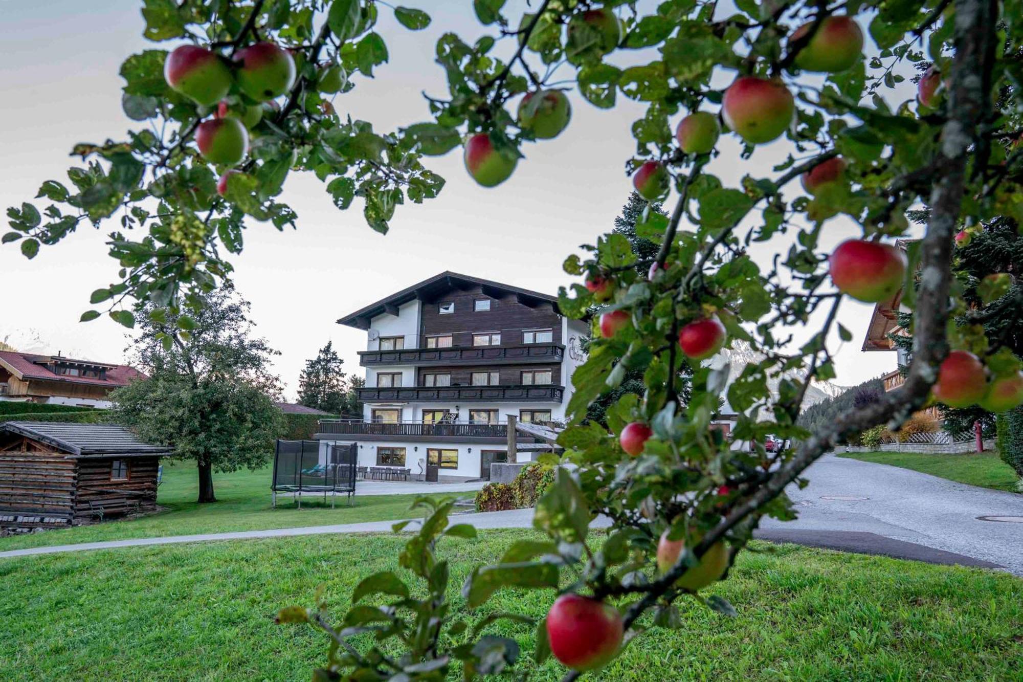 Ferienwohnungen Monja Und Dietmar Thoeni Arzl im Pitztal Exterior photo